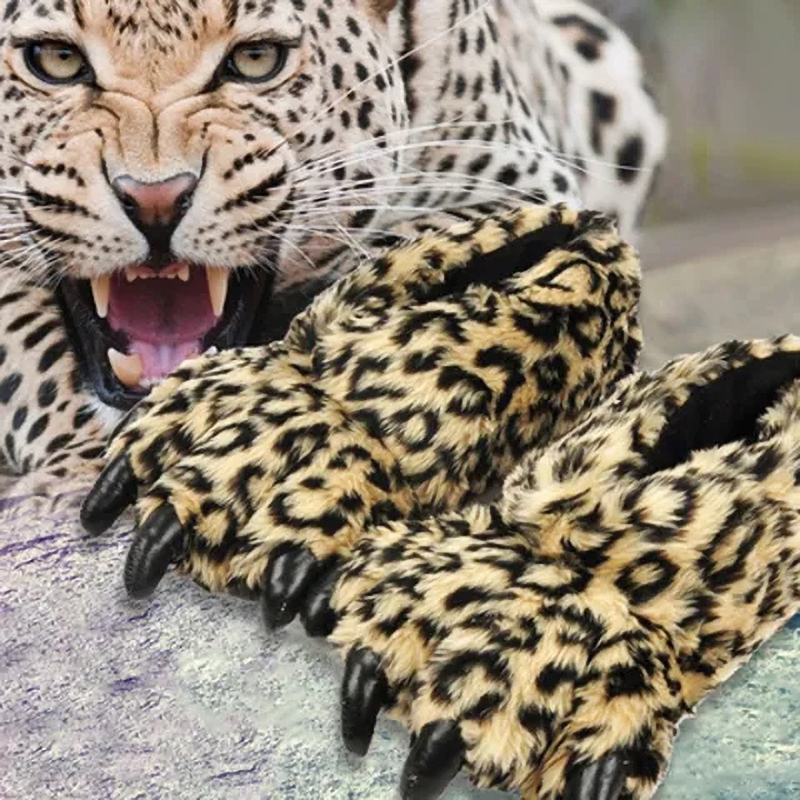 Designer Leopard Claw Home Sli - مراجعة Women'S Shoes Size 40 In Us وسعره