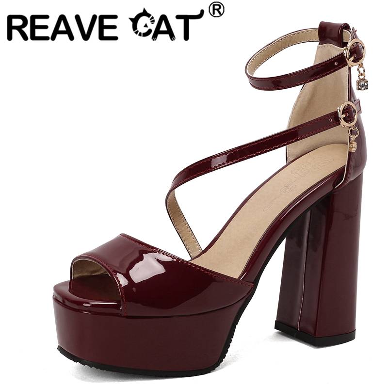 REAVE CAT Brand Shoes Women Su - مراجعة Women Shoes Branded وسعره