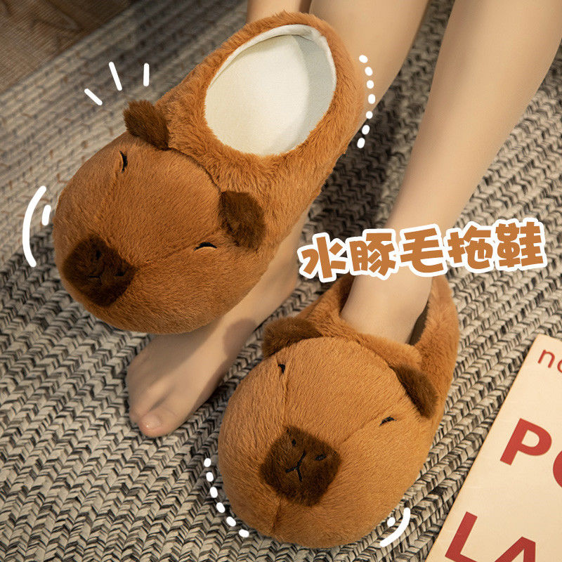 Novelty capybara slippers unis - مراجعة Women Shoes For Winter وسعره
